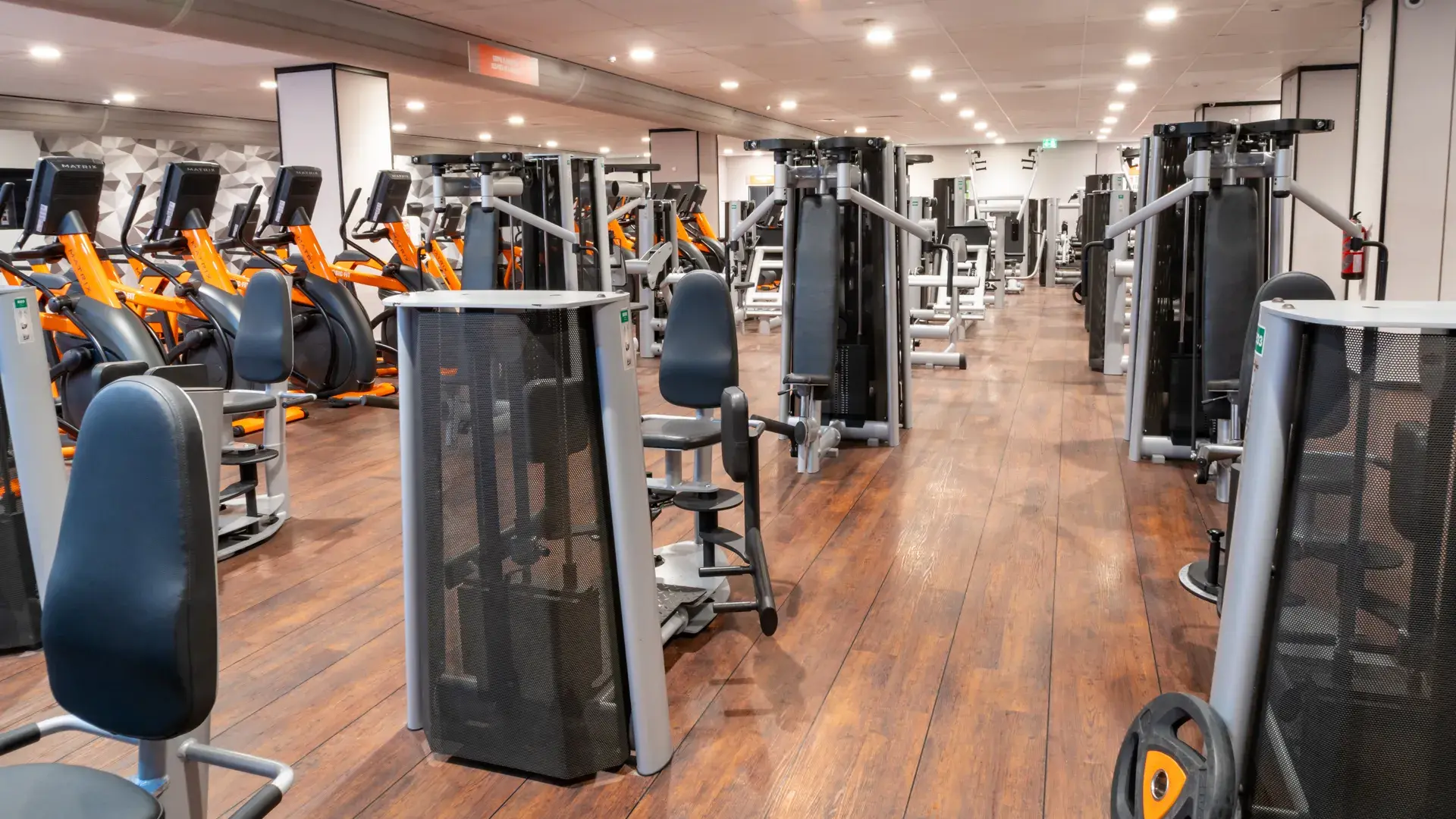 Galería de imágenes