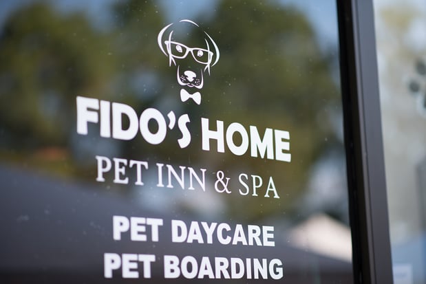 Images Fidos Home Pet Inn & Spa
