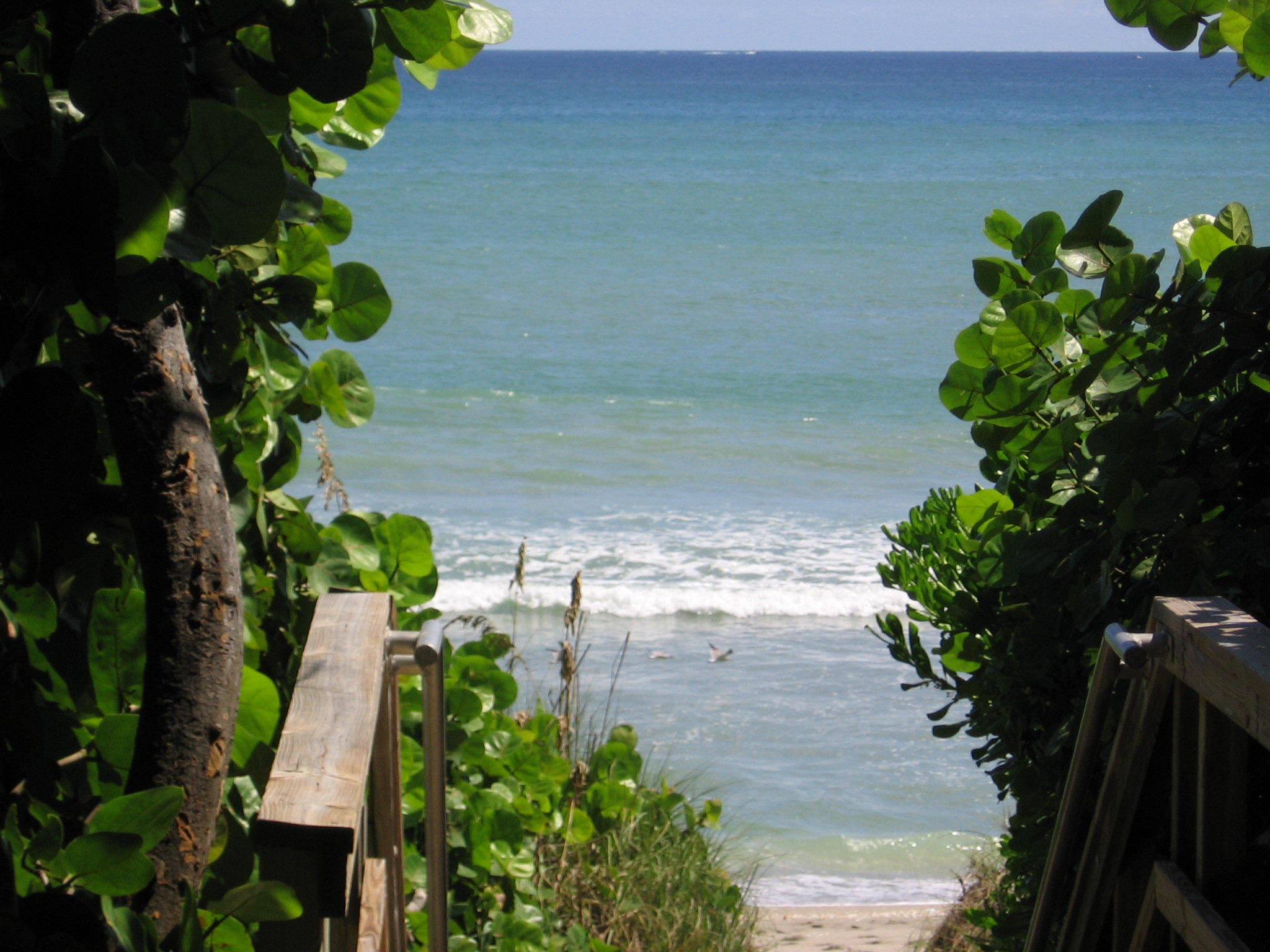 Holiday Inn Express North Palm Beach-Oceanview Photo