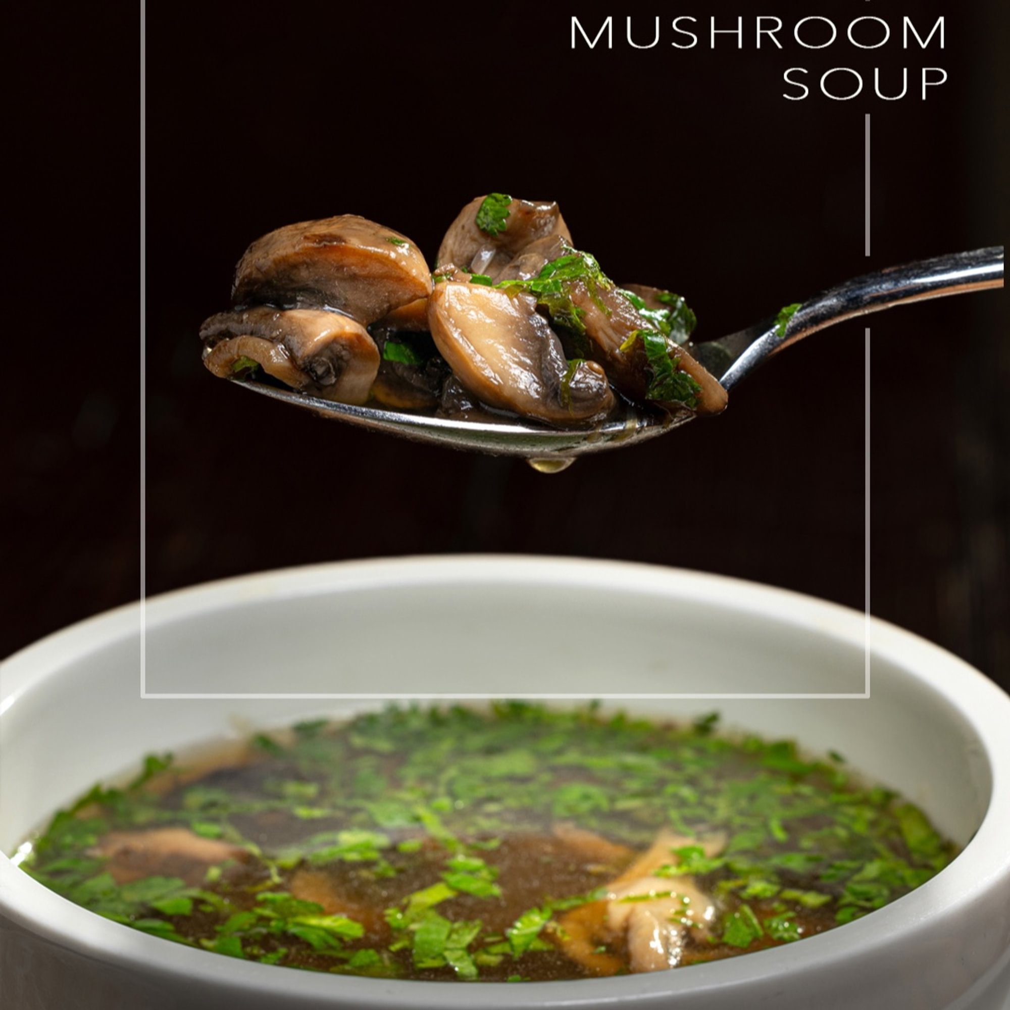 Mushroom Soup (VG)