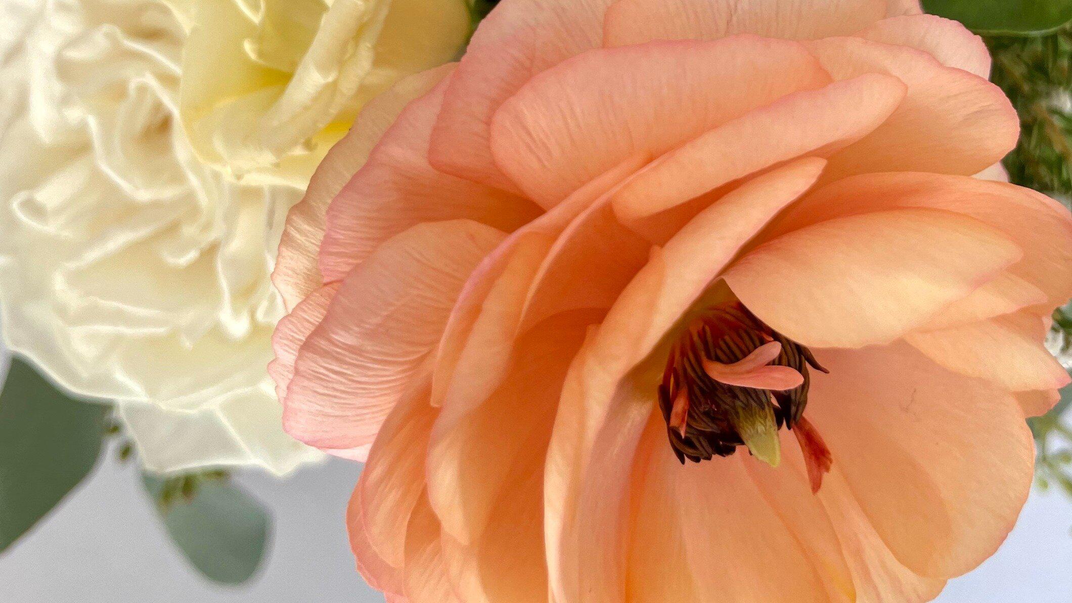 Bloom FDS
