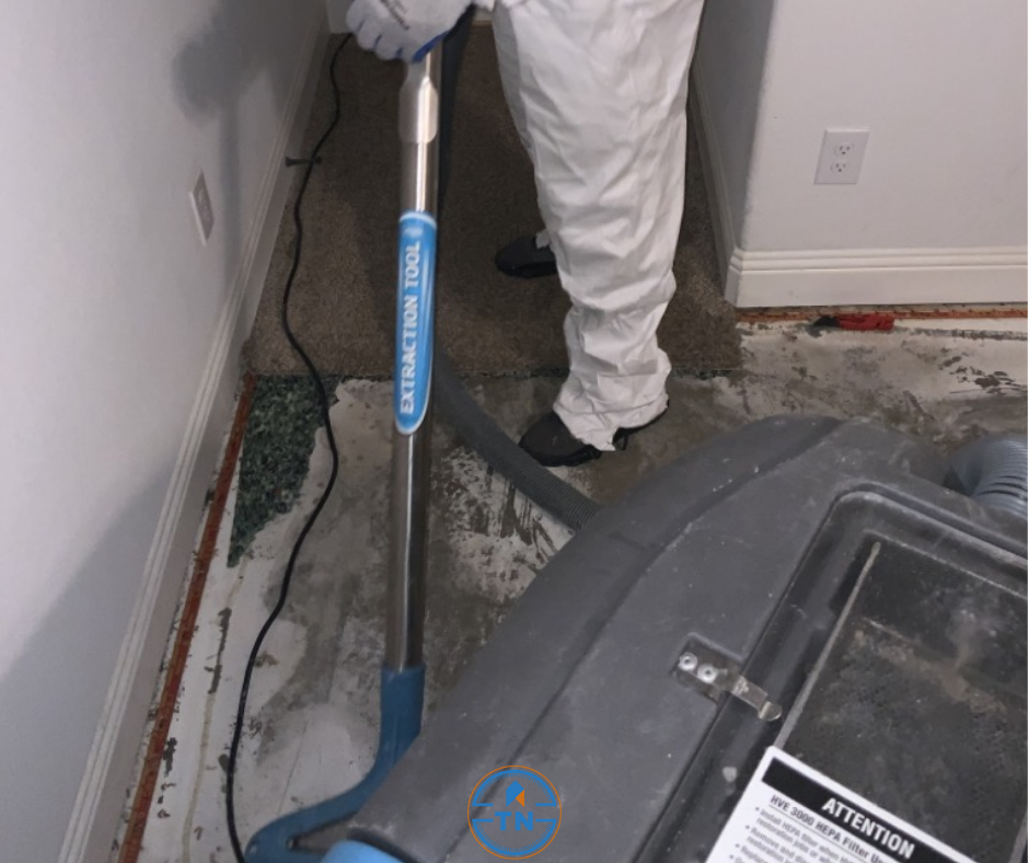 True North Restoration of Denver Image