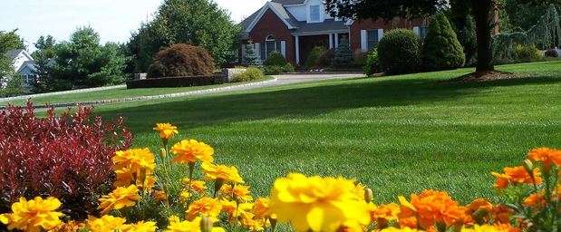 Images Sarango Landscaping & Construction