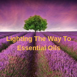 Lighting The Way To Essential Oils Frankston