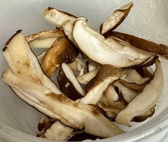 Shitake Mushrooms