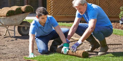 Why Do Yards Turn Brown?