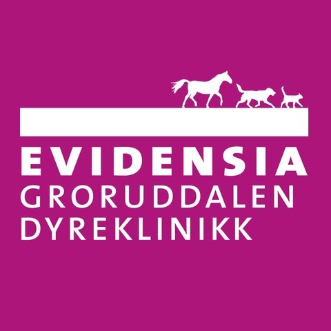 Evidensia Groruddalen Dyreklinikk logo