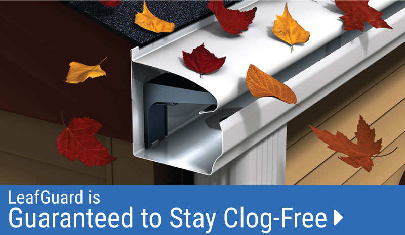 Leafguard by National Image