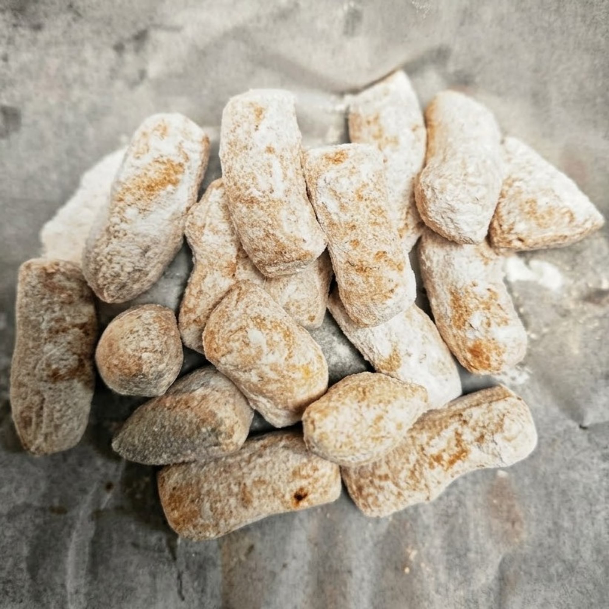 ZEPPOLIS