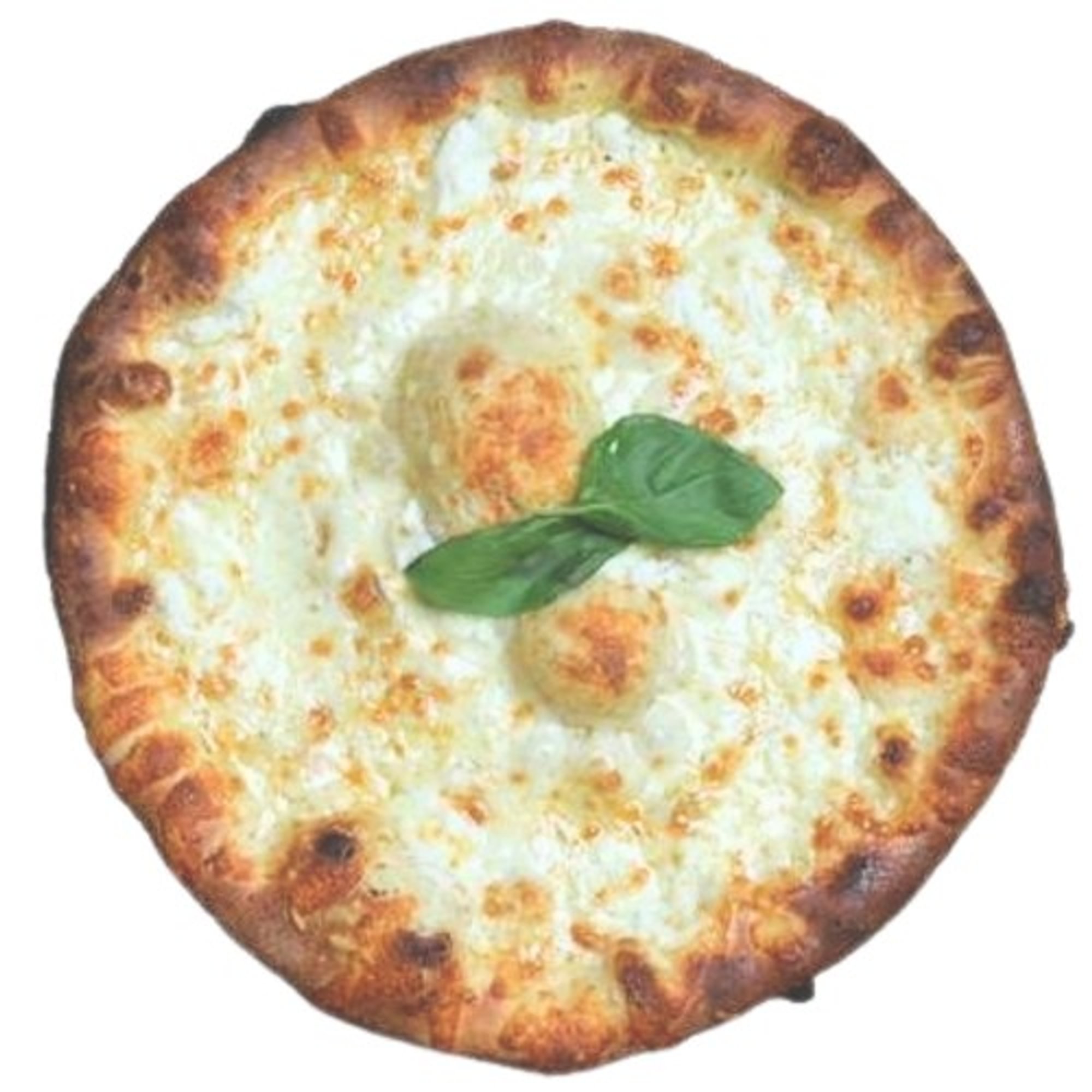 Marty's Washington D.C. White Pizza