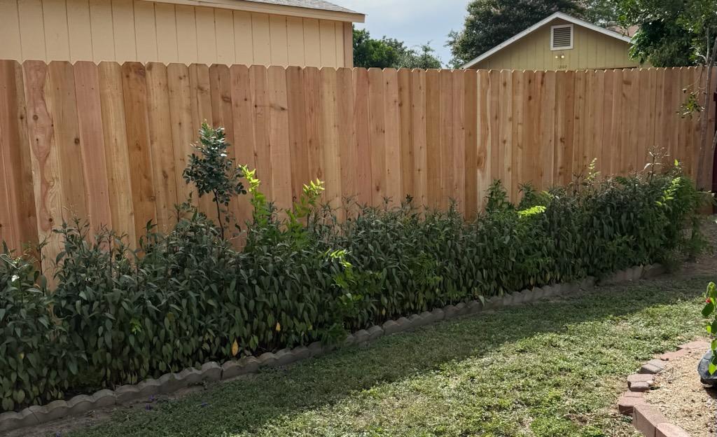 Top Rail Fence San Antonio Image