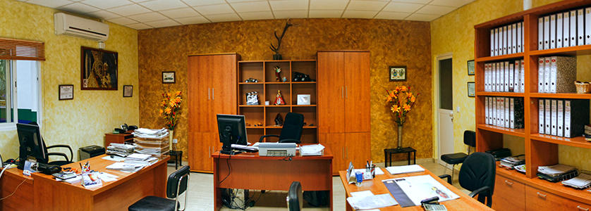 Galería en miniatura