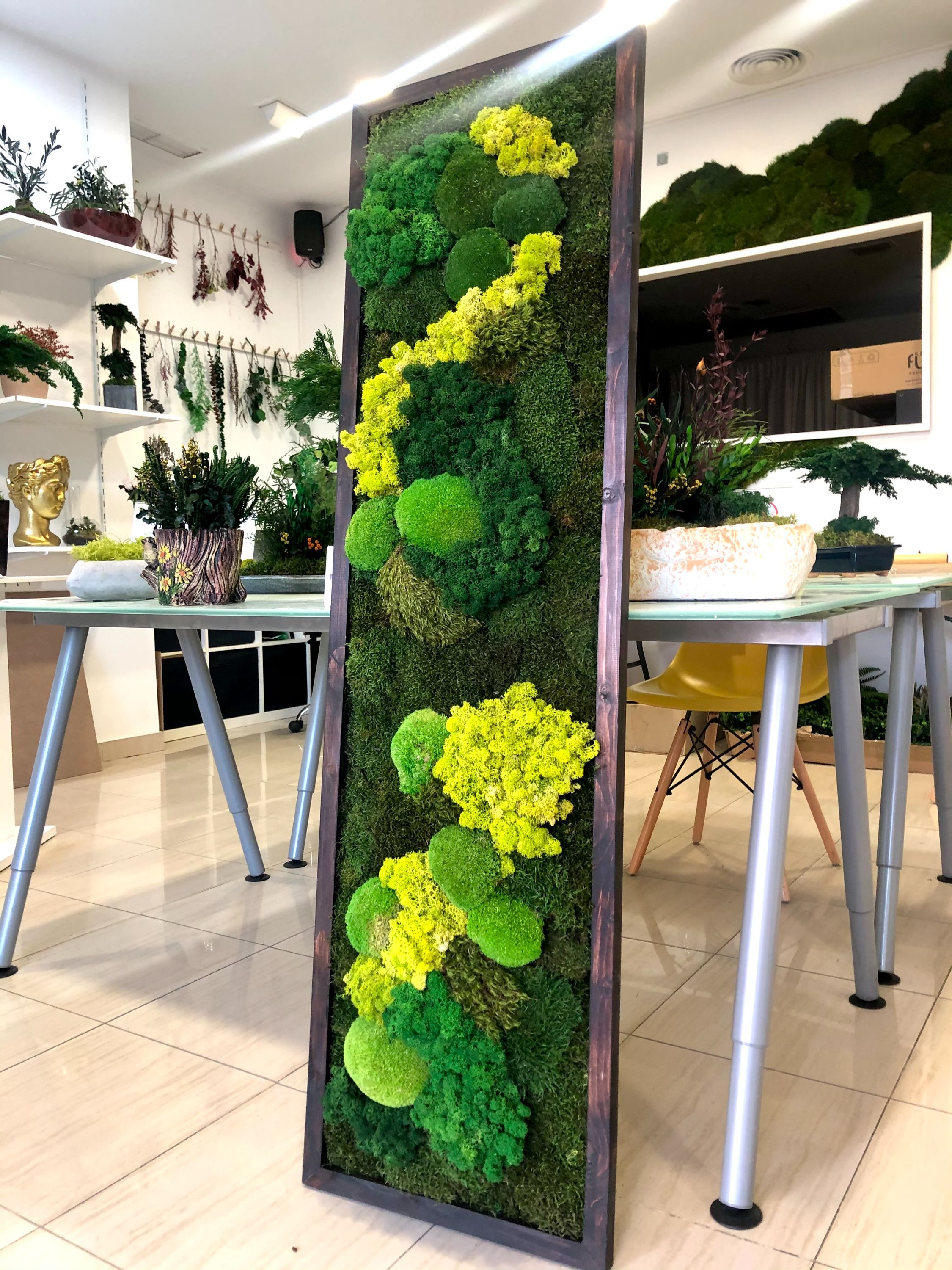 Galería en miniatura