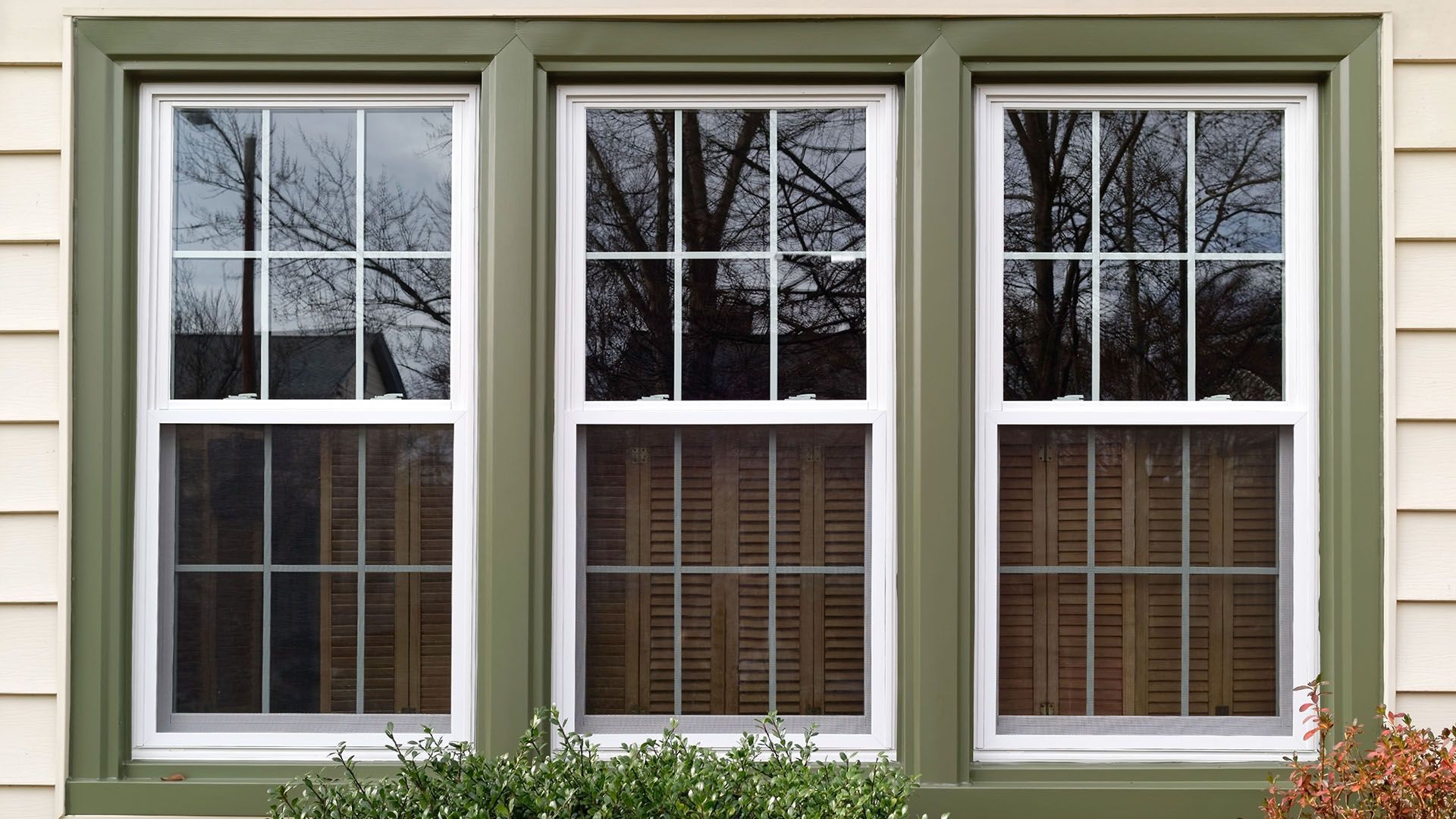 Windows