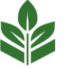 Spennato Landscaping Construction
