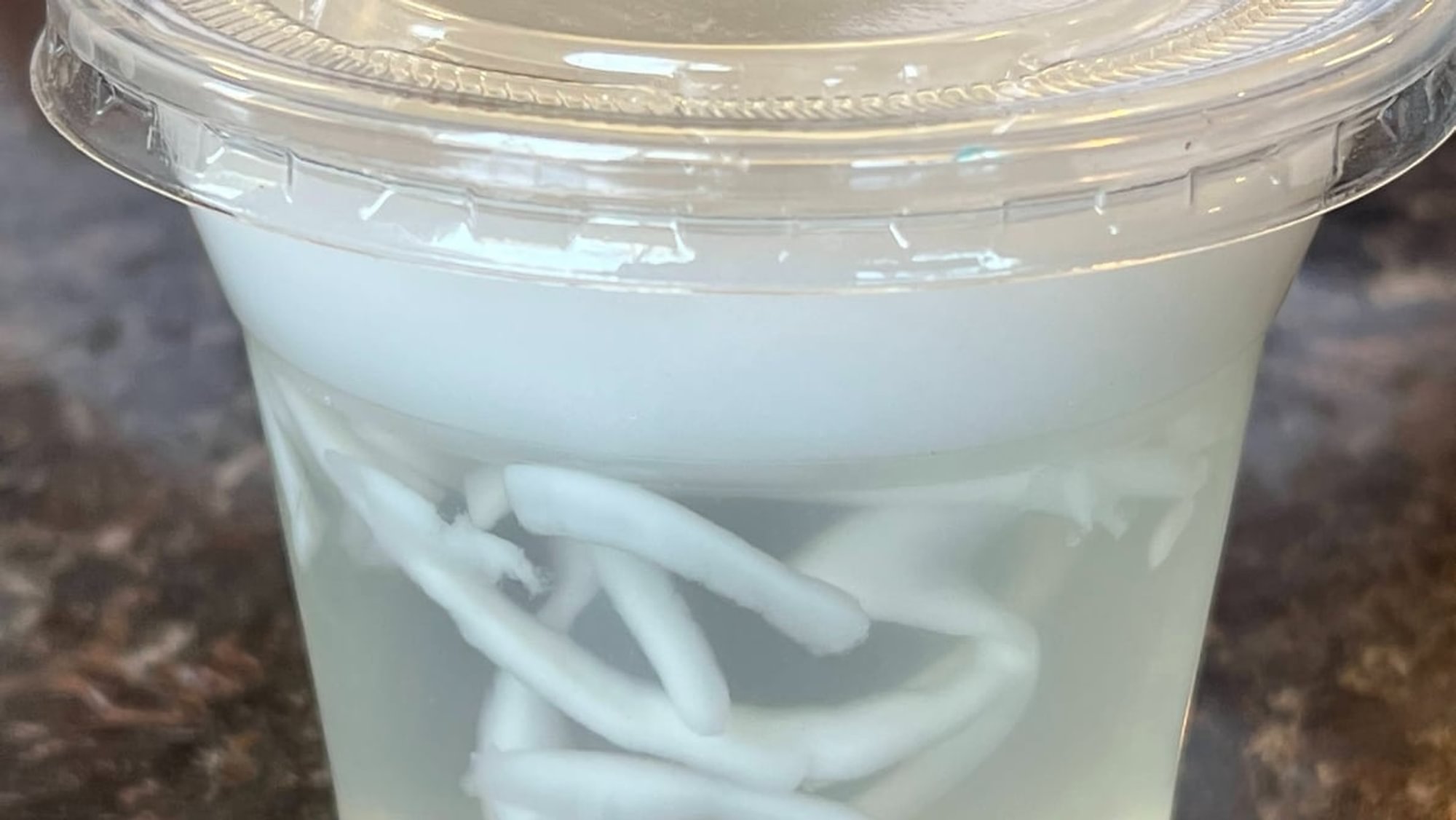Fresh Coconut Jelly