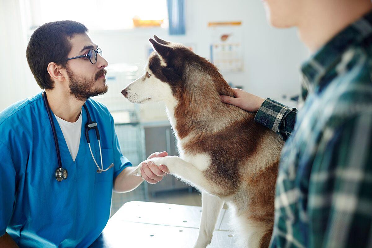 Veterinary Emergency Clinic - Port Charlotte Photo