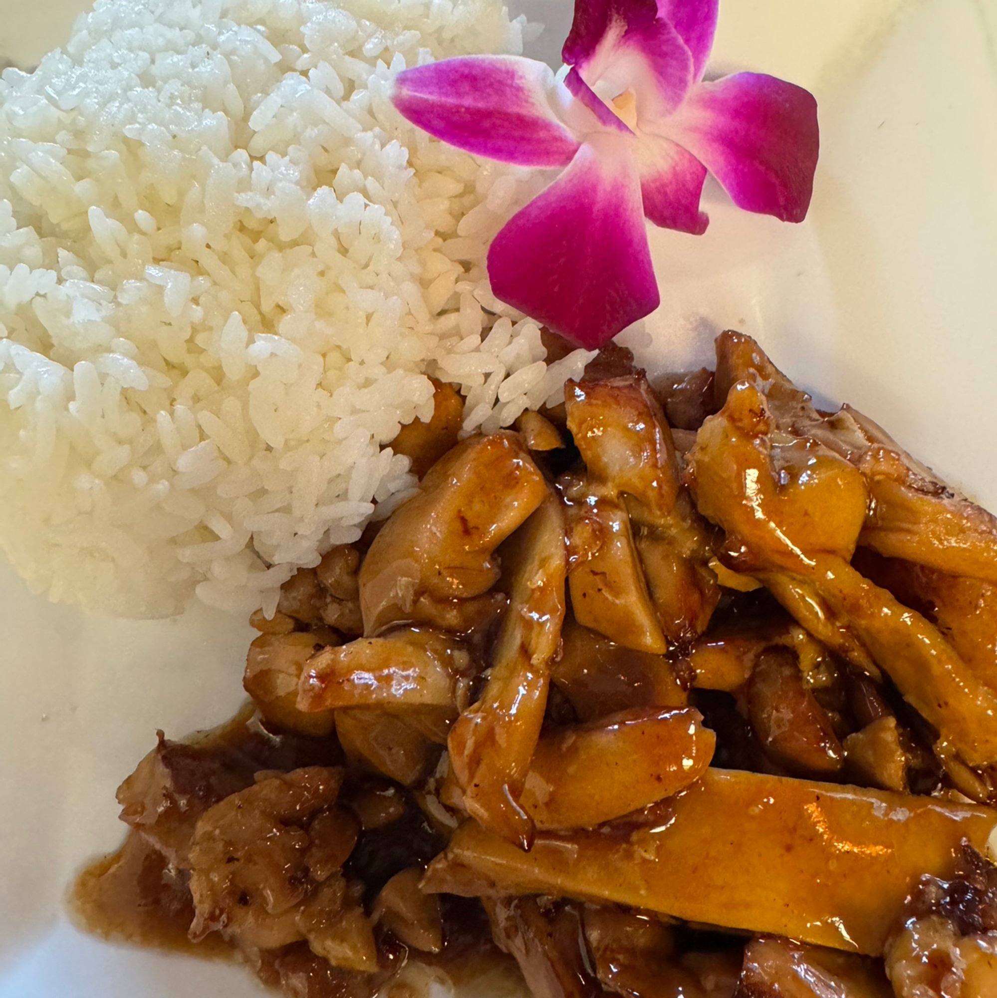 Kid Chicken Teriyaki