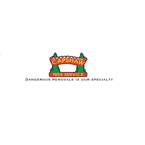 Capshaw Tree Service