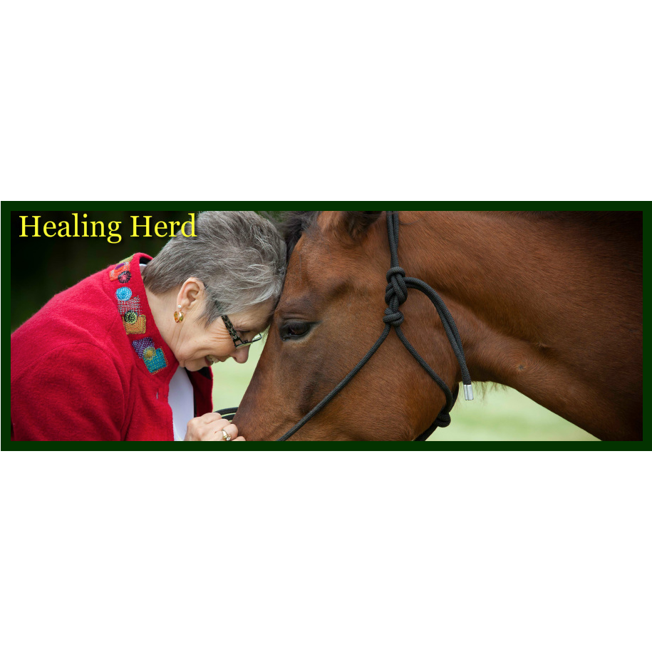 Rosie Spagnuolo Bickert- Gentle Hoofbeats