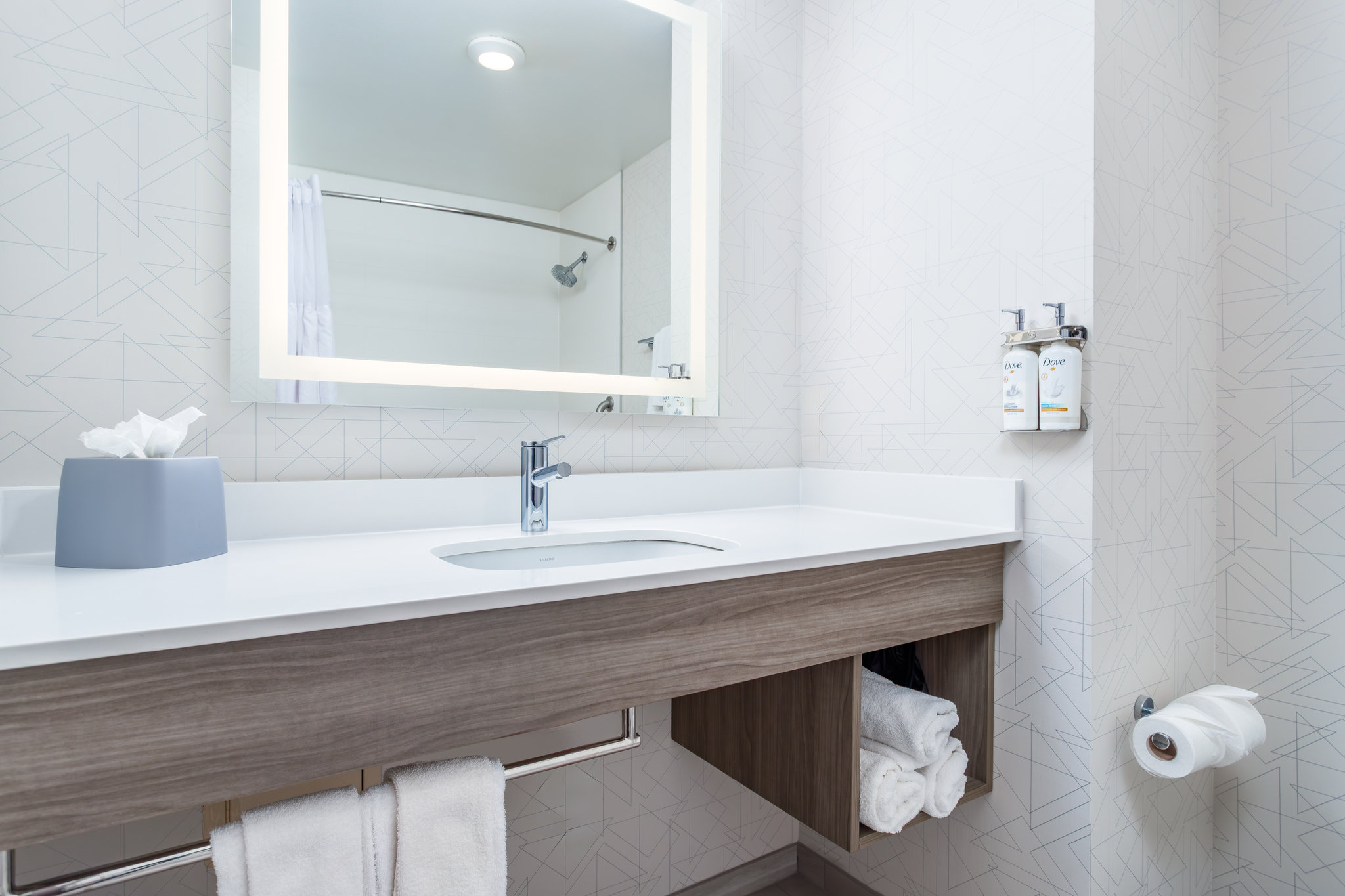 Holiday Inn Express & Suites Twin Falls by IHG Image