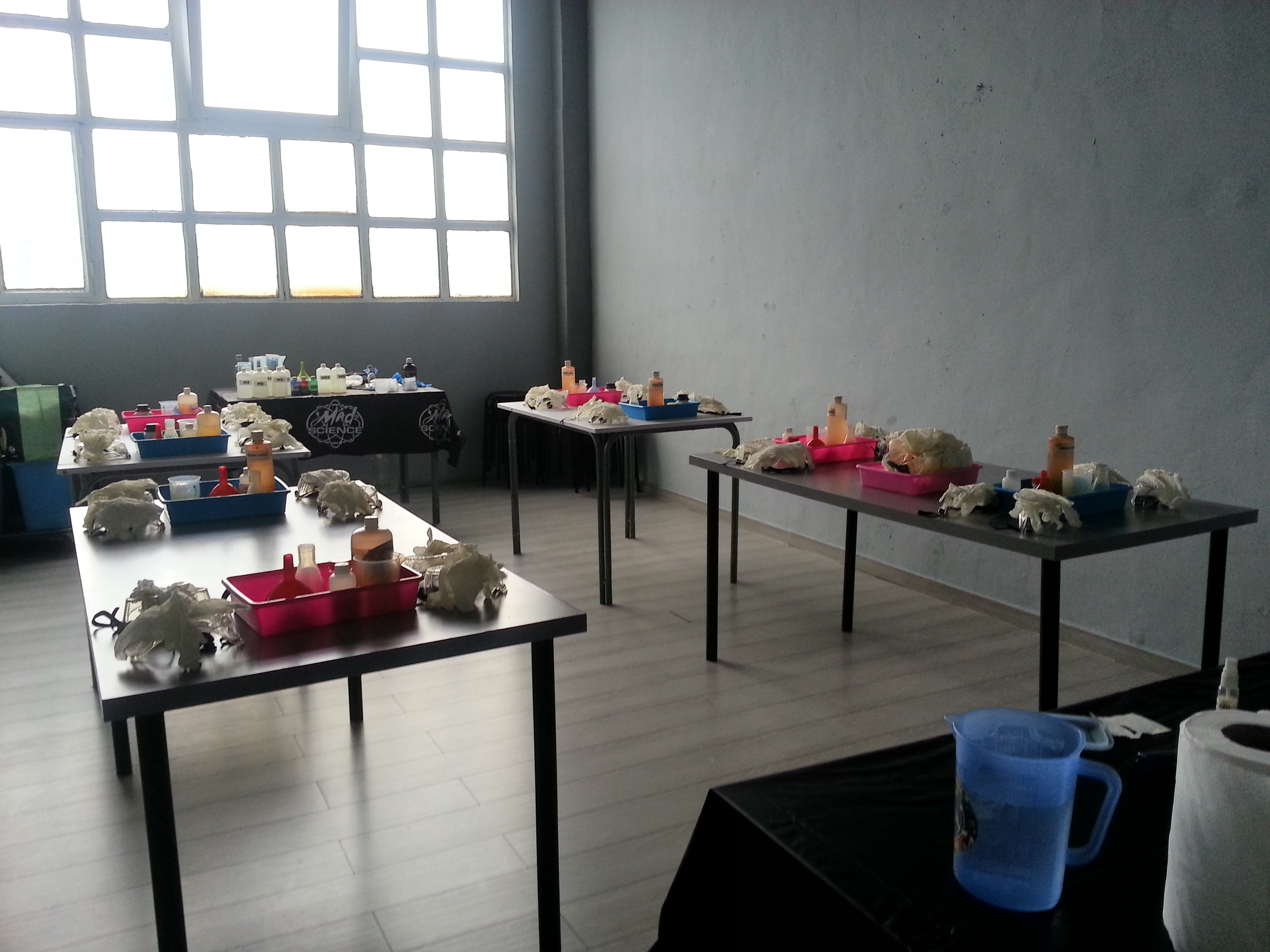 Galería en miniatura