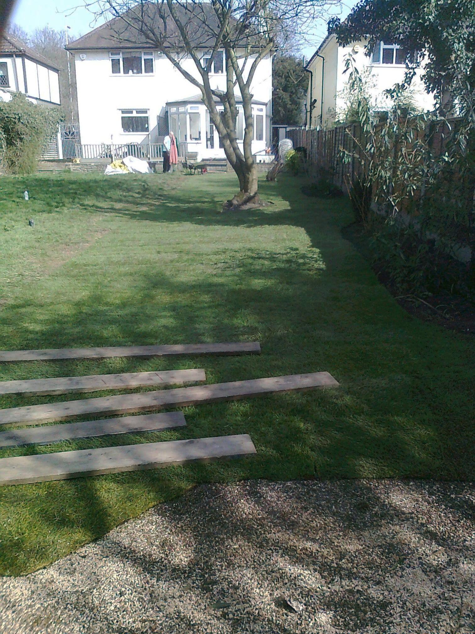 Images Tree & Garden Services
