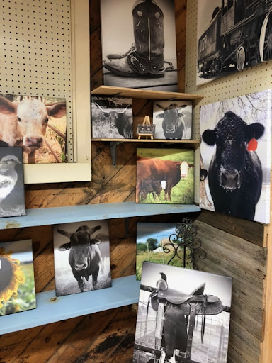 Gallery thumbnail