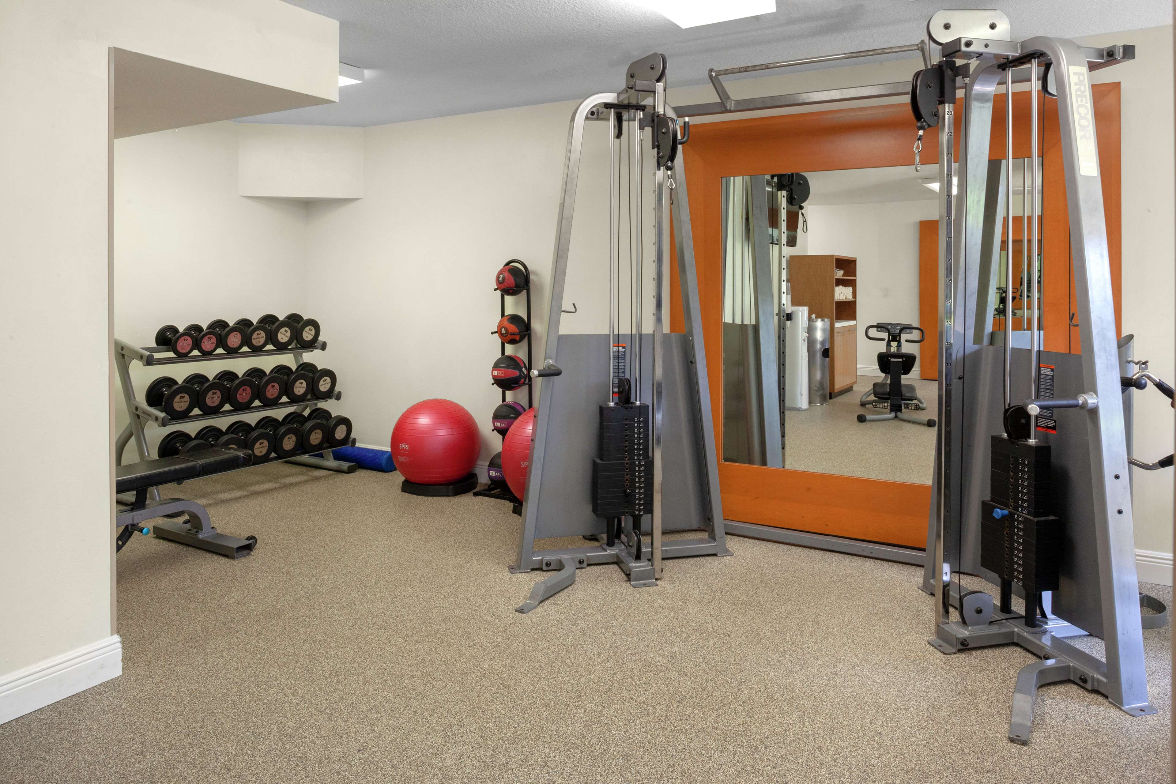 Health club  fitness center  gym