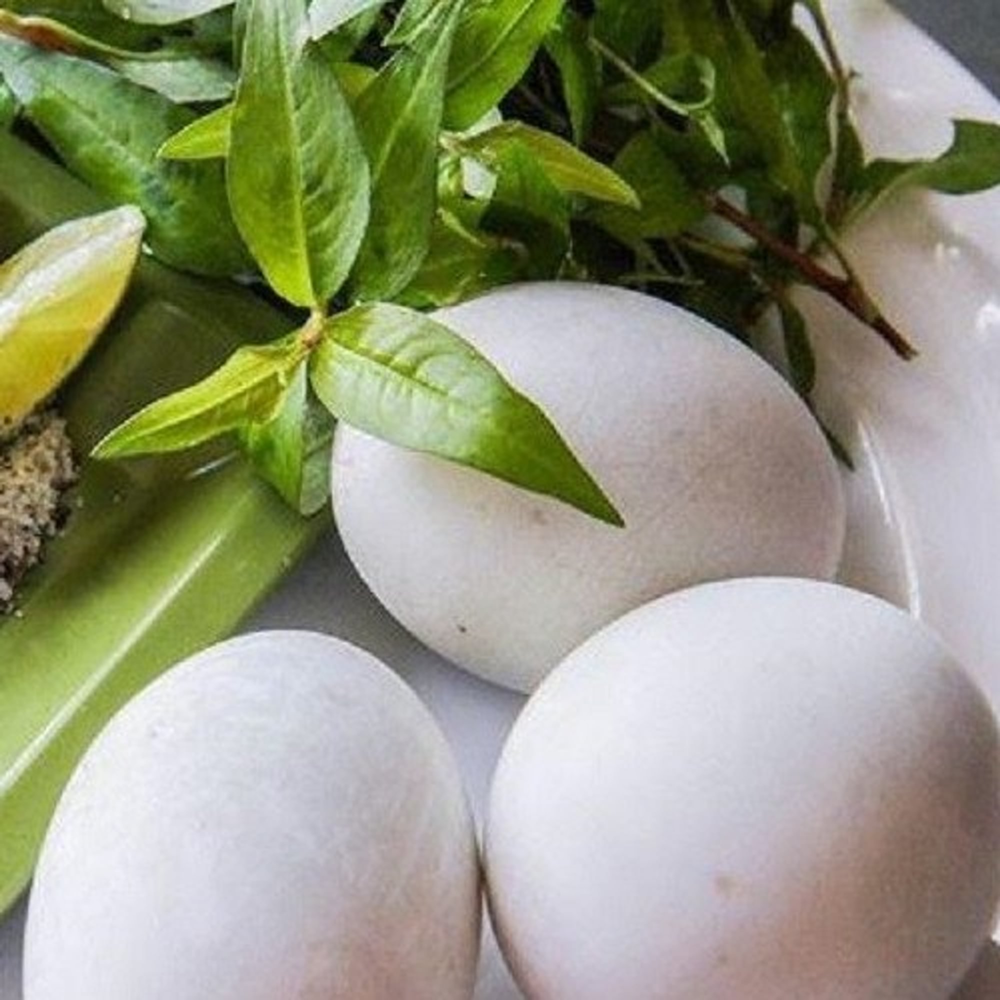 Balut / Hột Vịt Lộn (12)