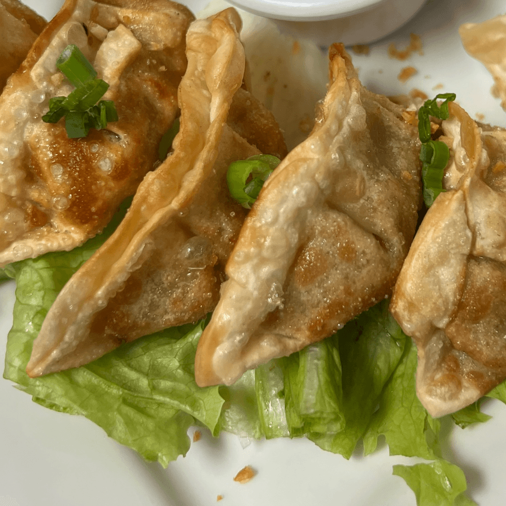 Steamed or Fried Dumpling