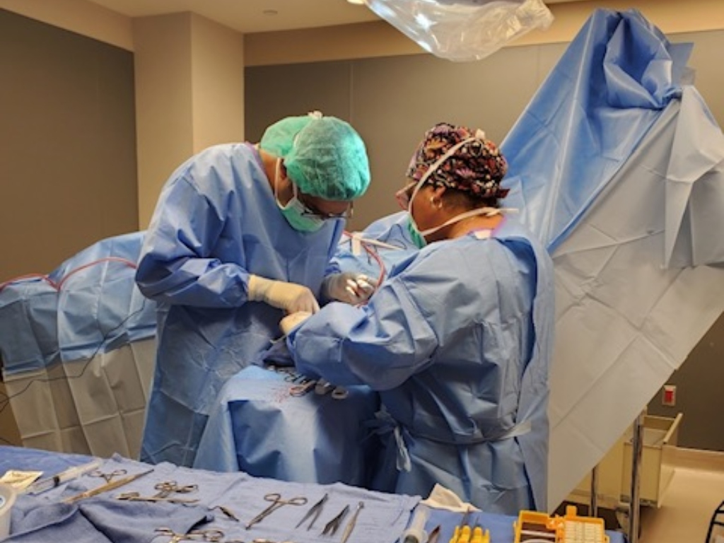 Surgery in progress at Bay Area Vascular Center