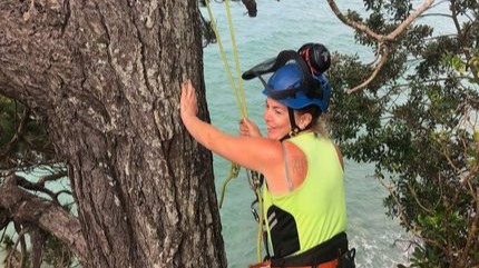 Foto de Dizzy Heights Tree Services Auckland