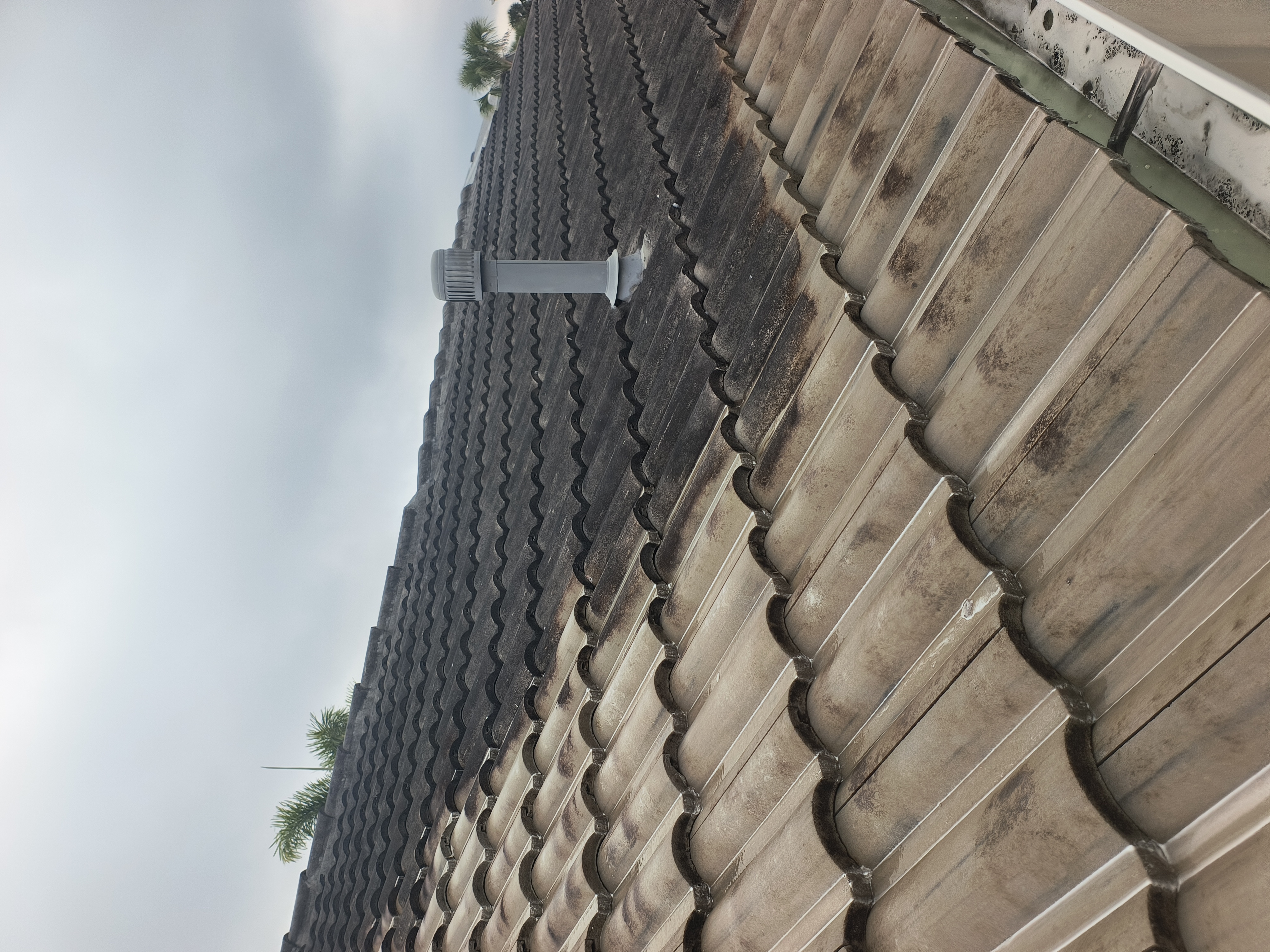 Painting and Pressure Washing by Michael Image