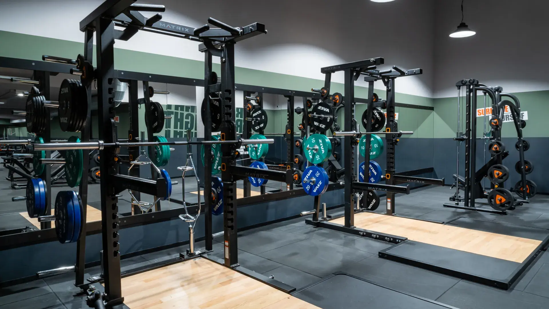 Galería de imágenes