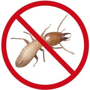 A1 Termite  and  Pest Control