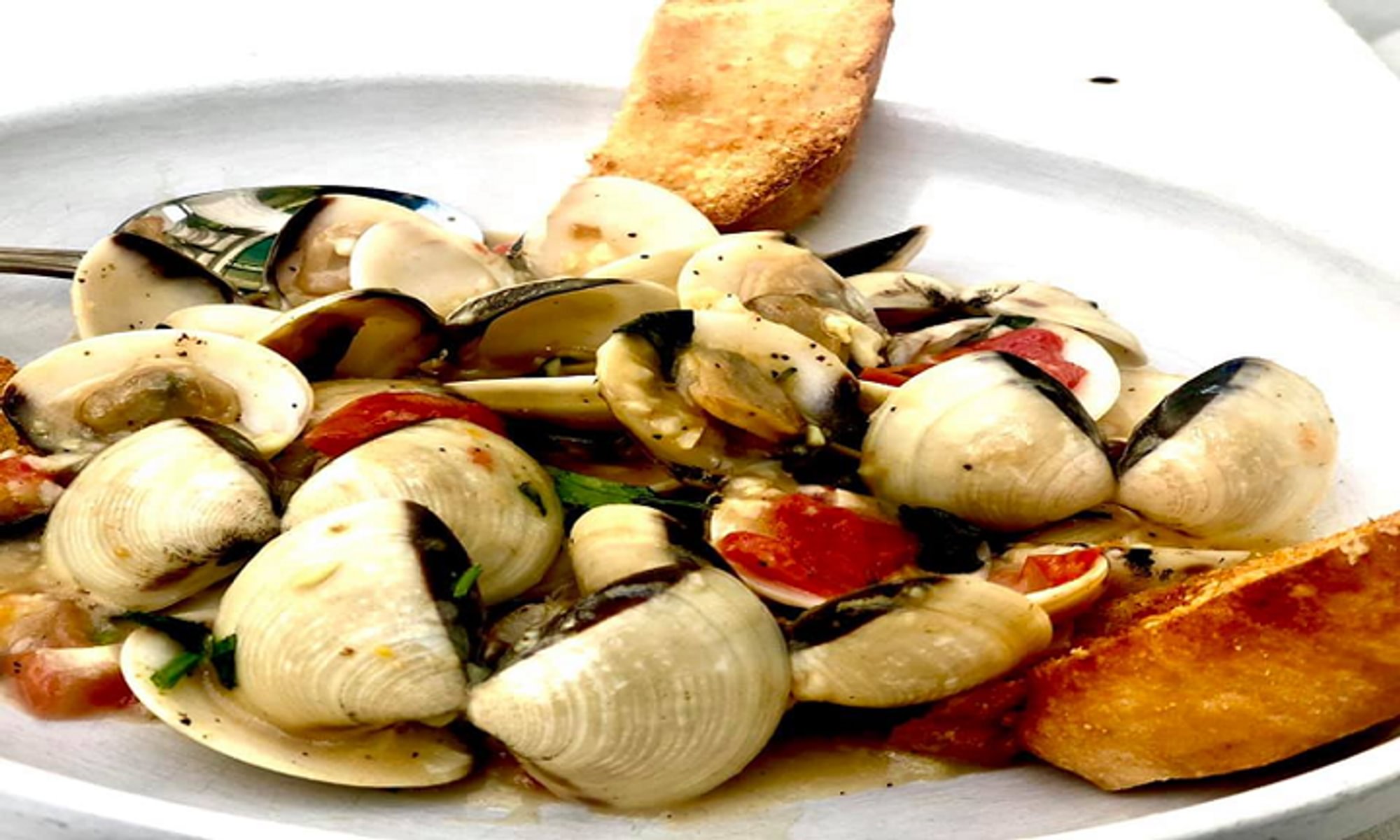 Cherrystone Clams