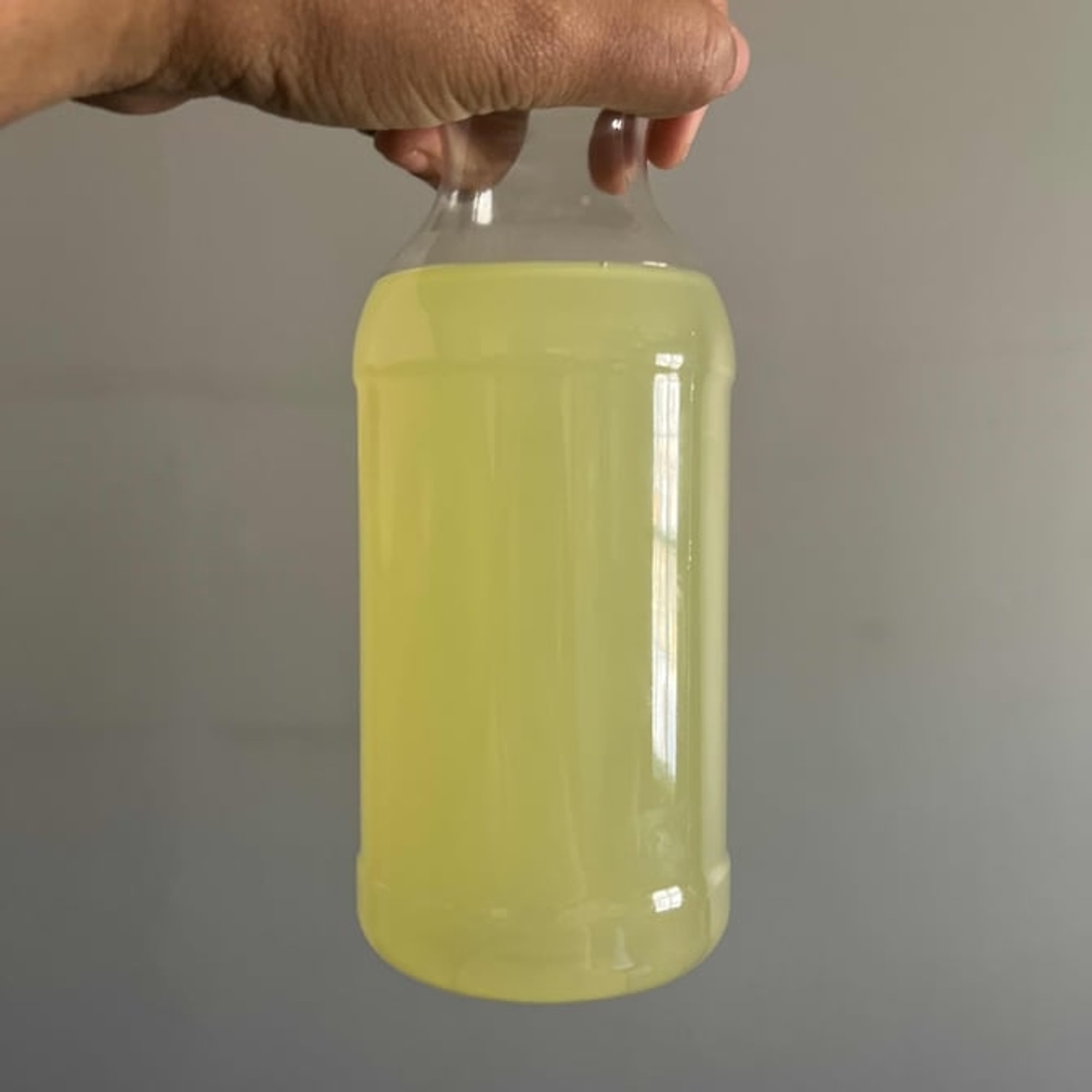 Lemonade