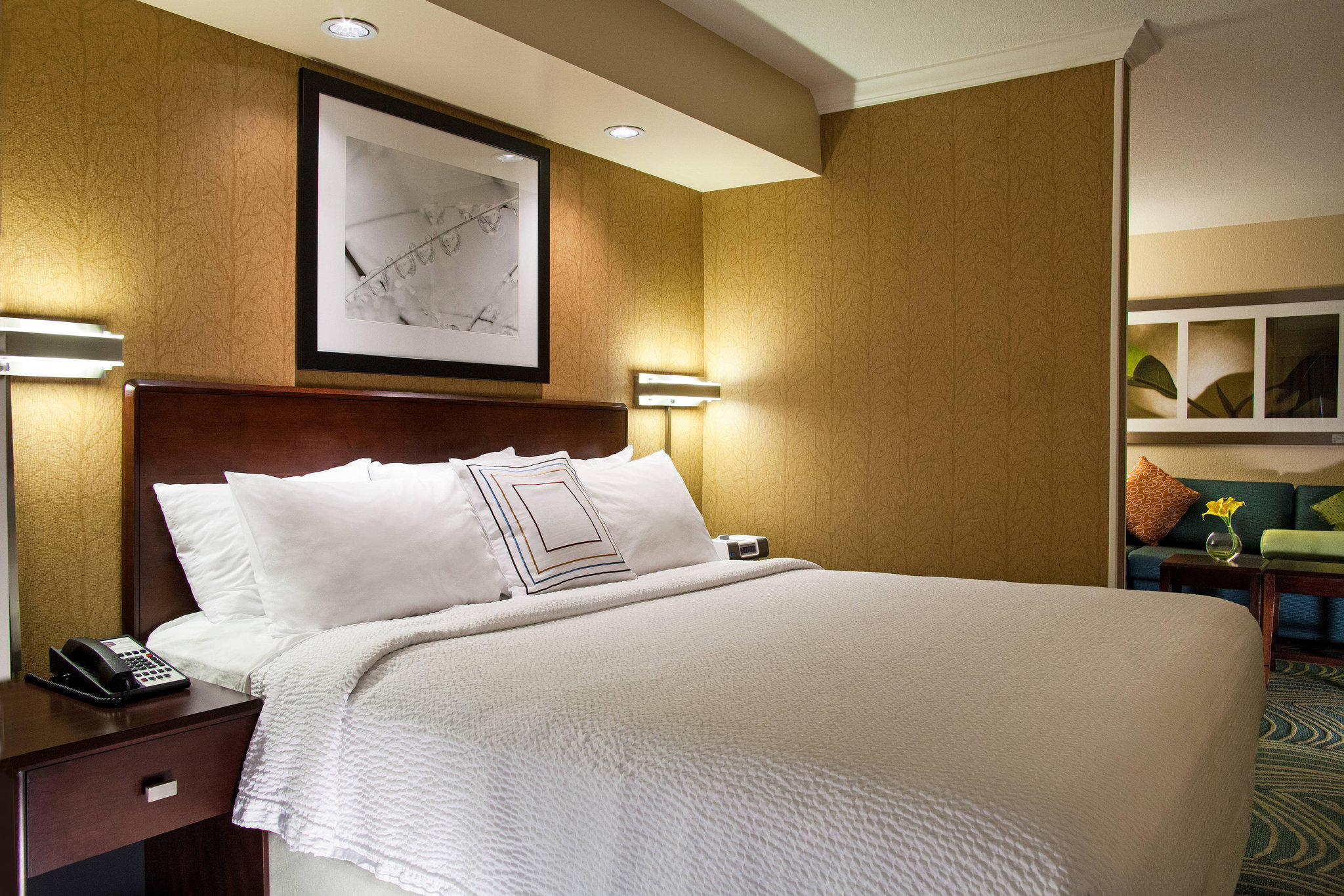 SpringHill Suites by Marriott Medford Photo