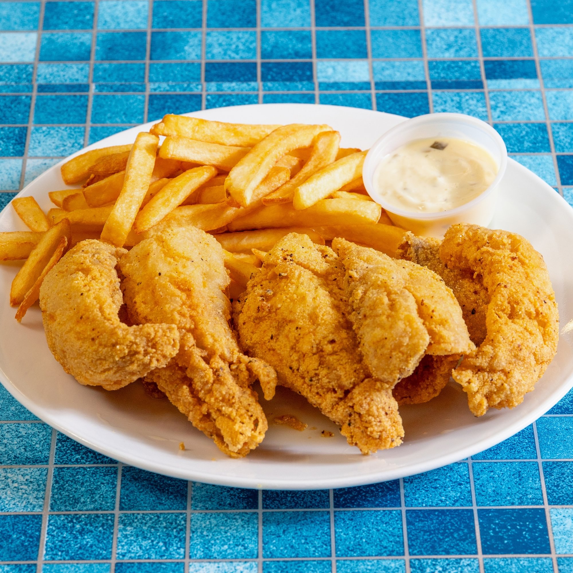 Ocean Perch