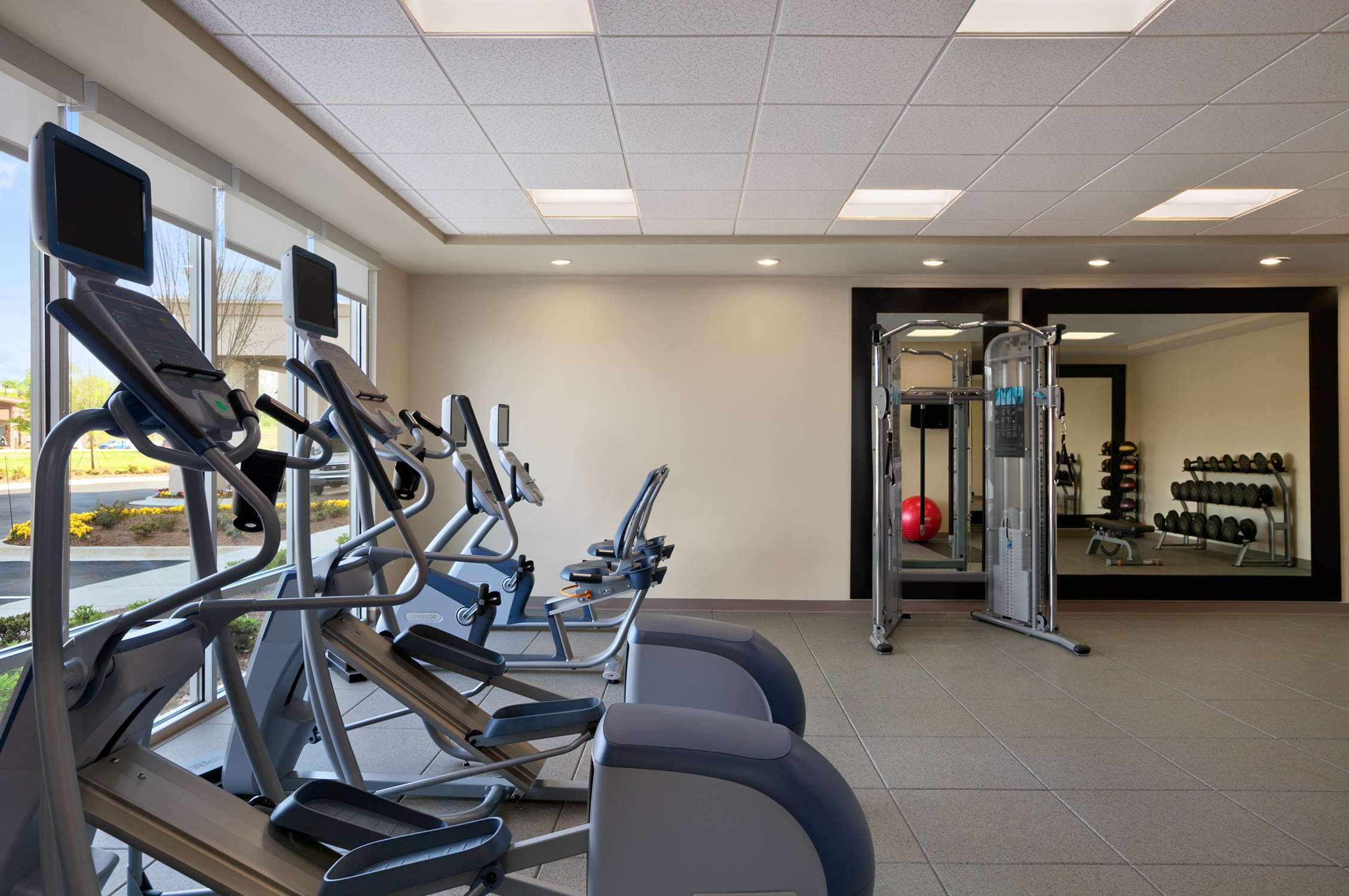 Health club  fitness center  gym