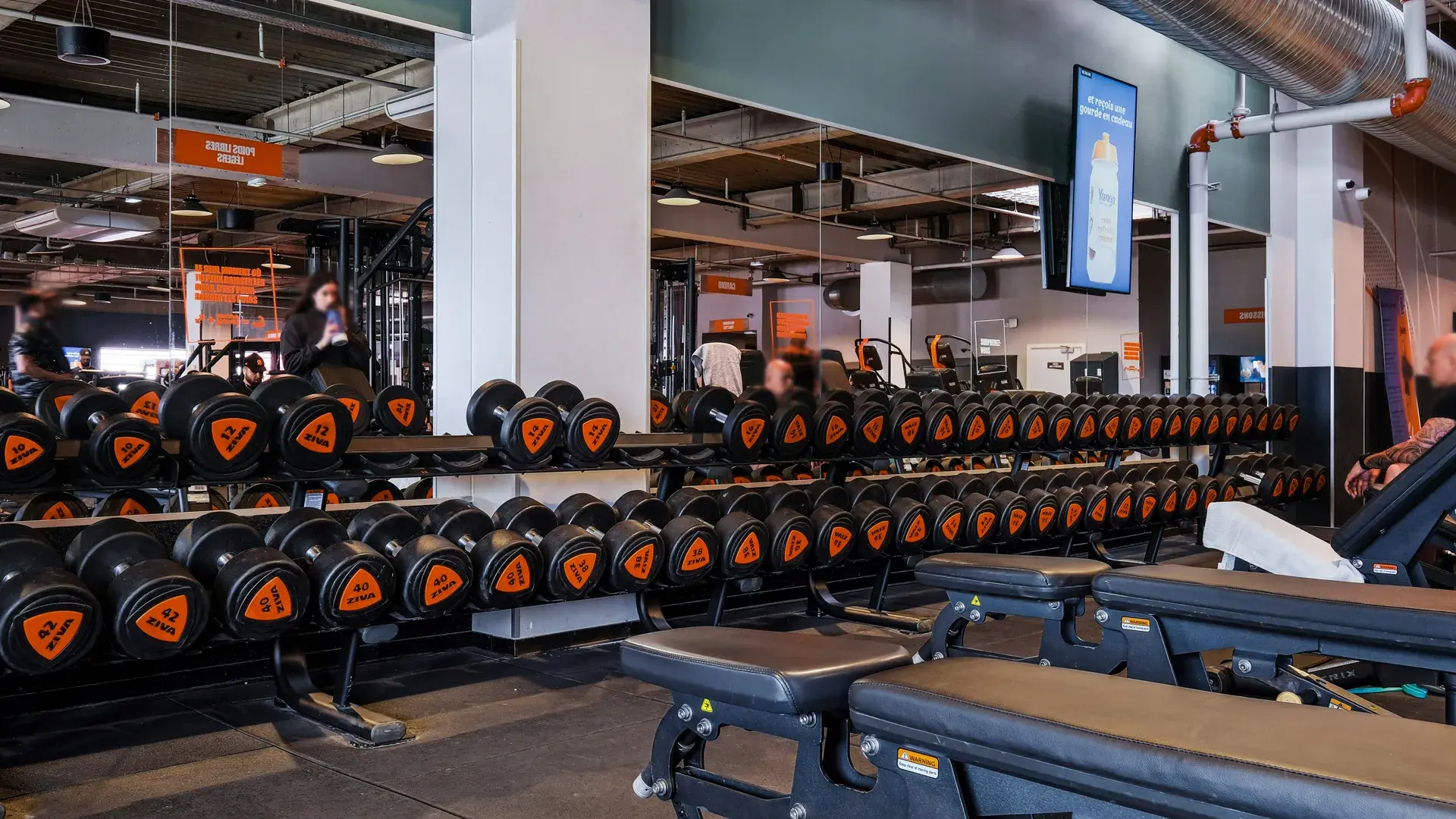 Miniature de la galerie