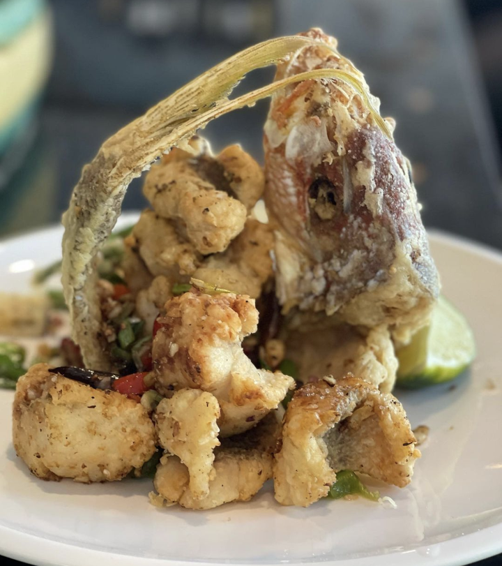 Yellowtail Snapper