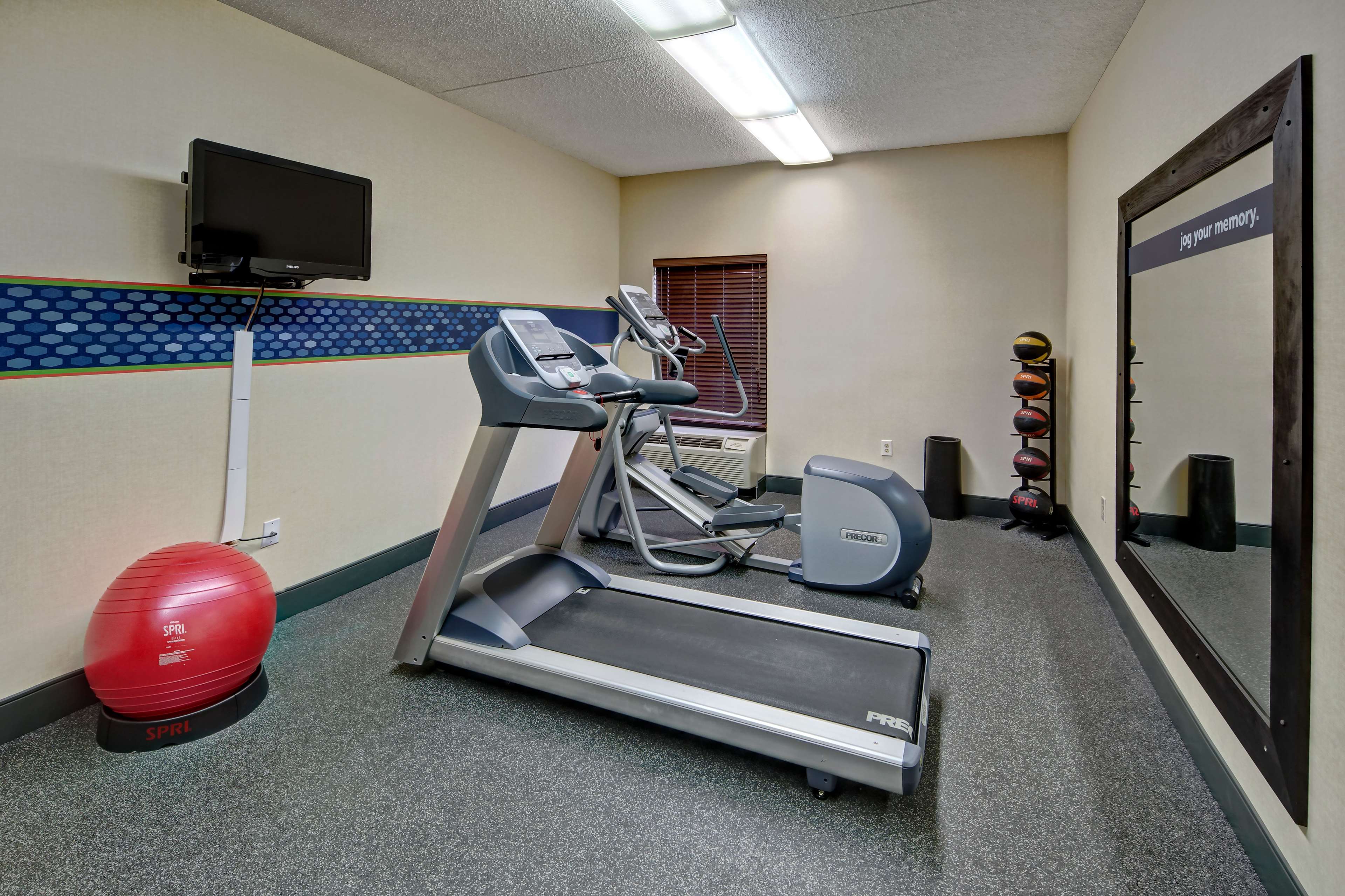 Health club  fitness center  gym