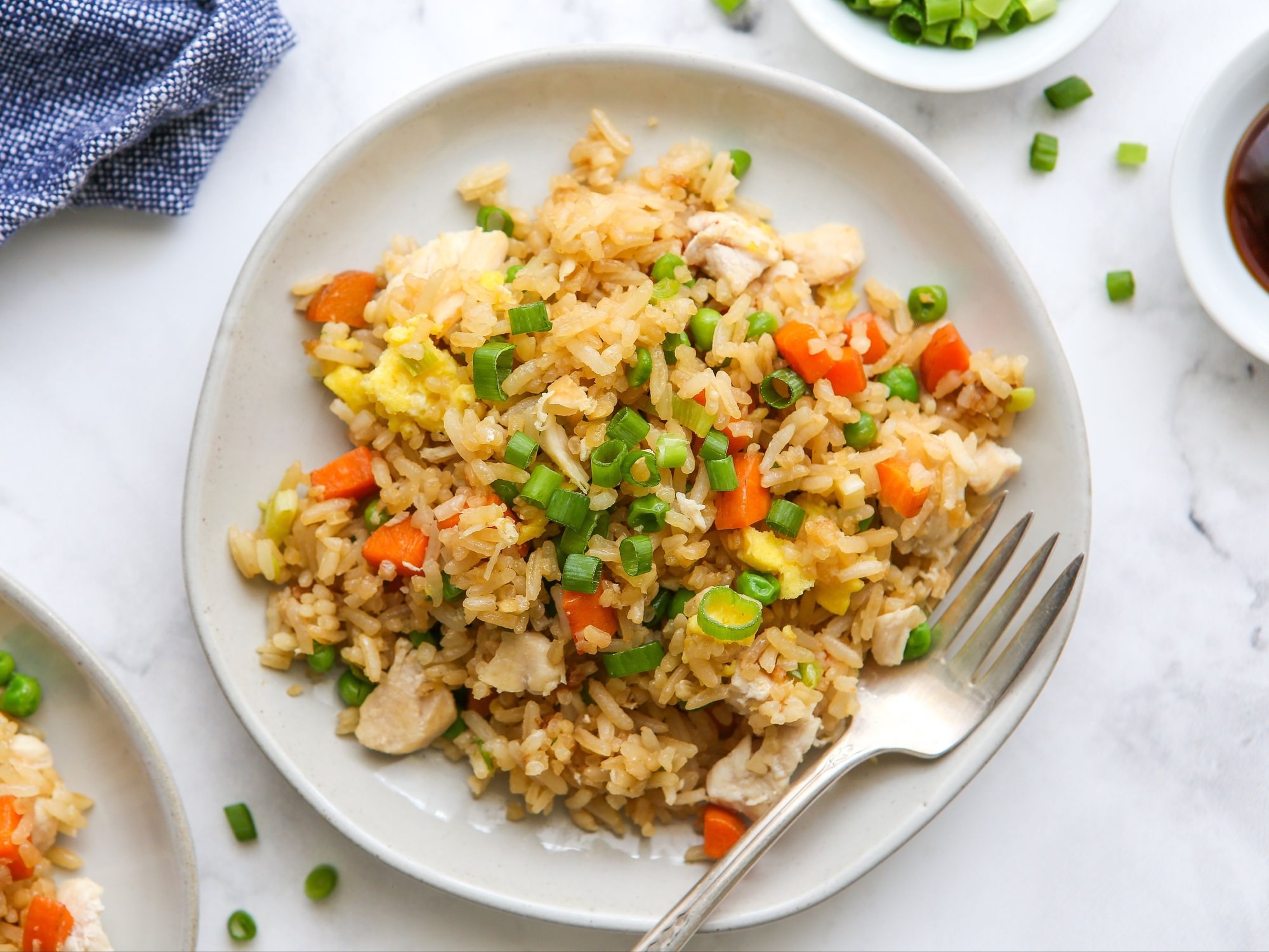 Chicken Fried Rice for Kids