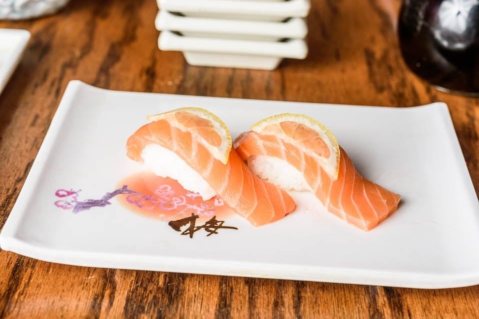 Salmon •