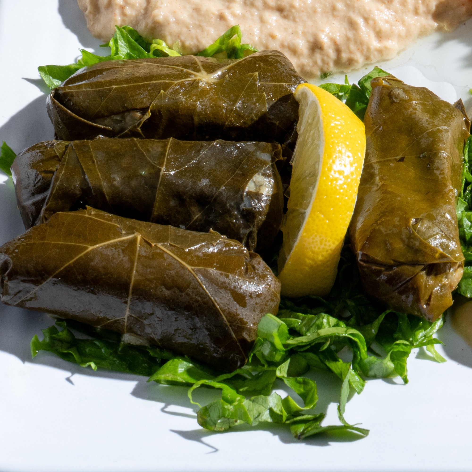 Dolma