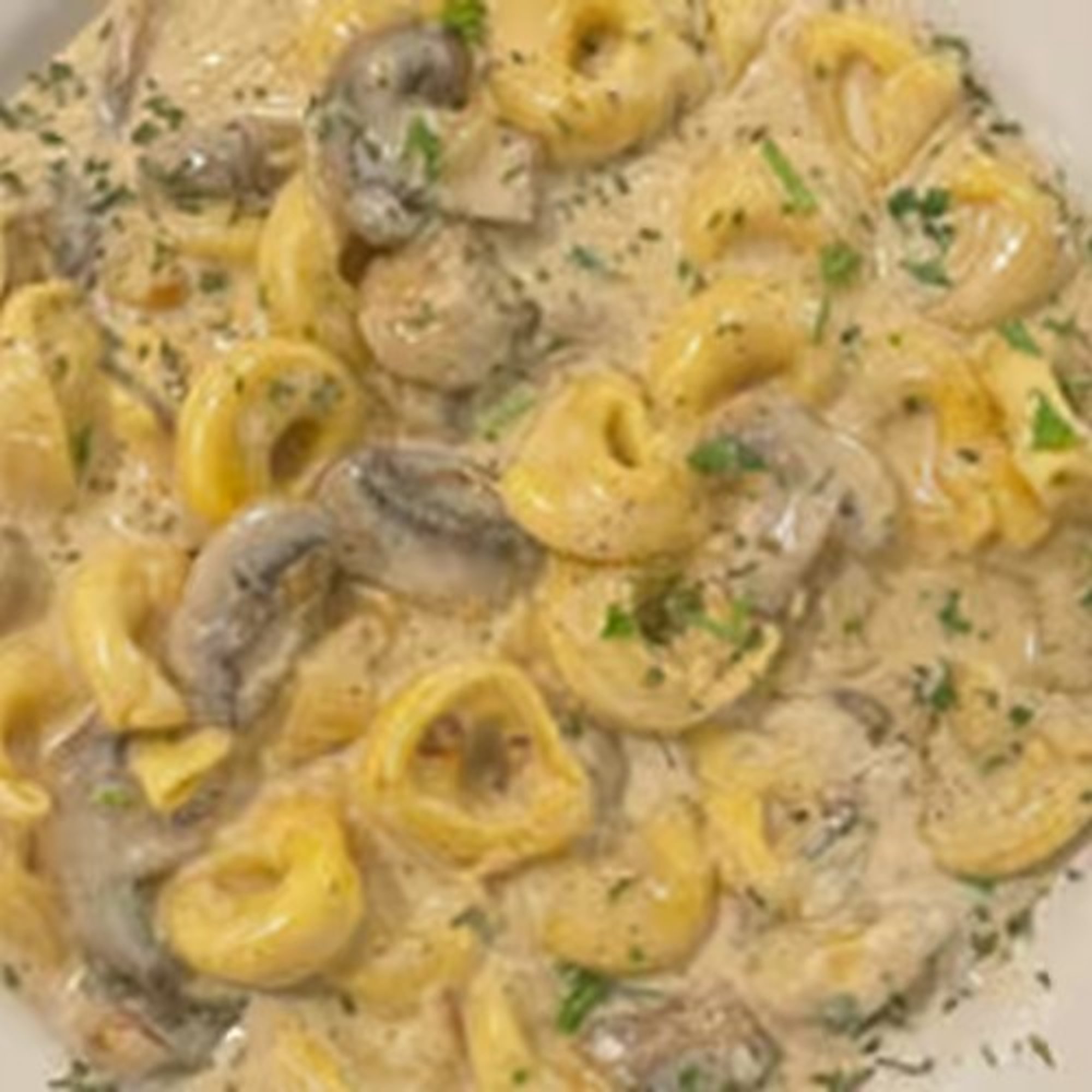 Tortellini Michelangelo
