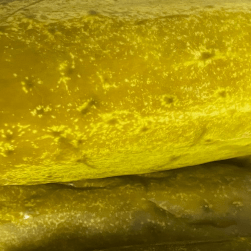big, large dill pickle