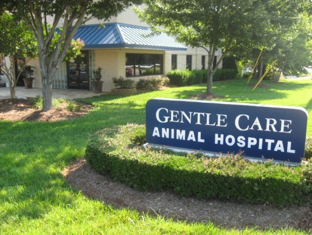 Gentle Care Animal Hospital in Raleigh, NC 27606 | Citysearch